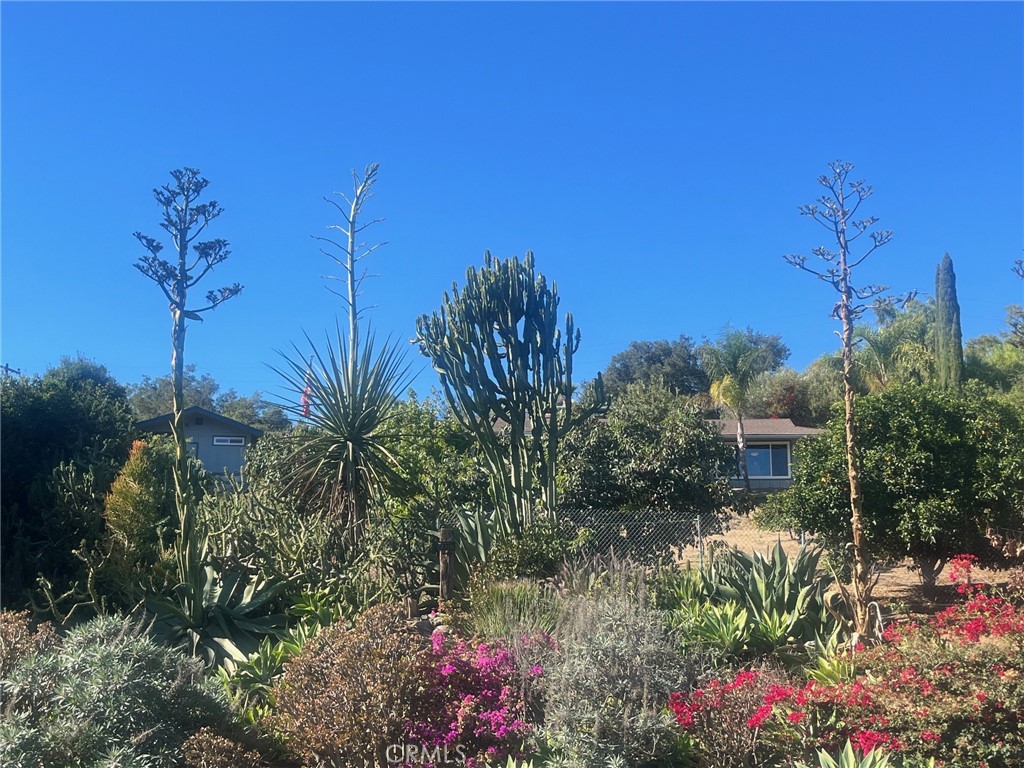a backyard of a house with lots of green space and plants