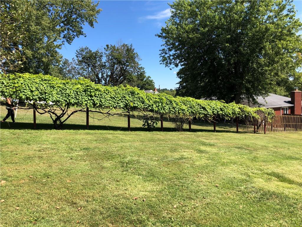 1277 Harrison City Export Road Jeannette, PA 15644 - Photo 14 of 17 a view of yard with swimming pool and green space