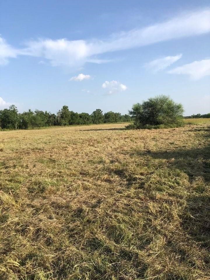 0 Katy Hockley Road Katy, TX 77493 - Photo 7 of 15