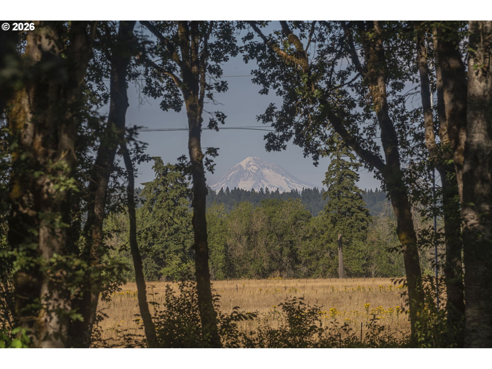 14510 South Vaughan Road Molalla, OR 97038 - Photo 47 of 48