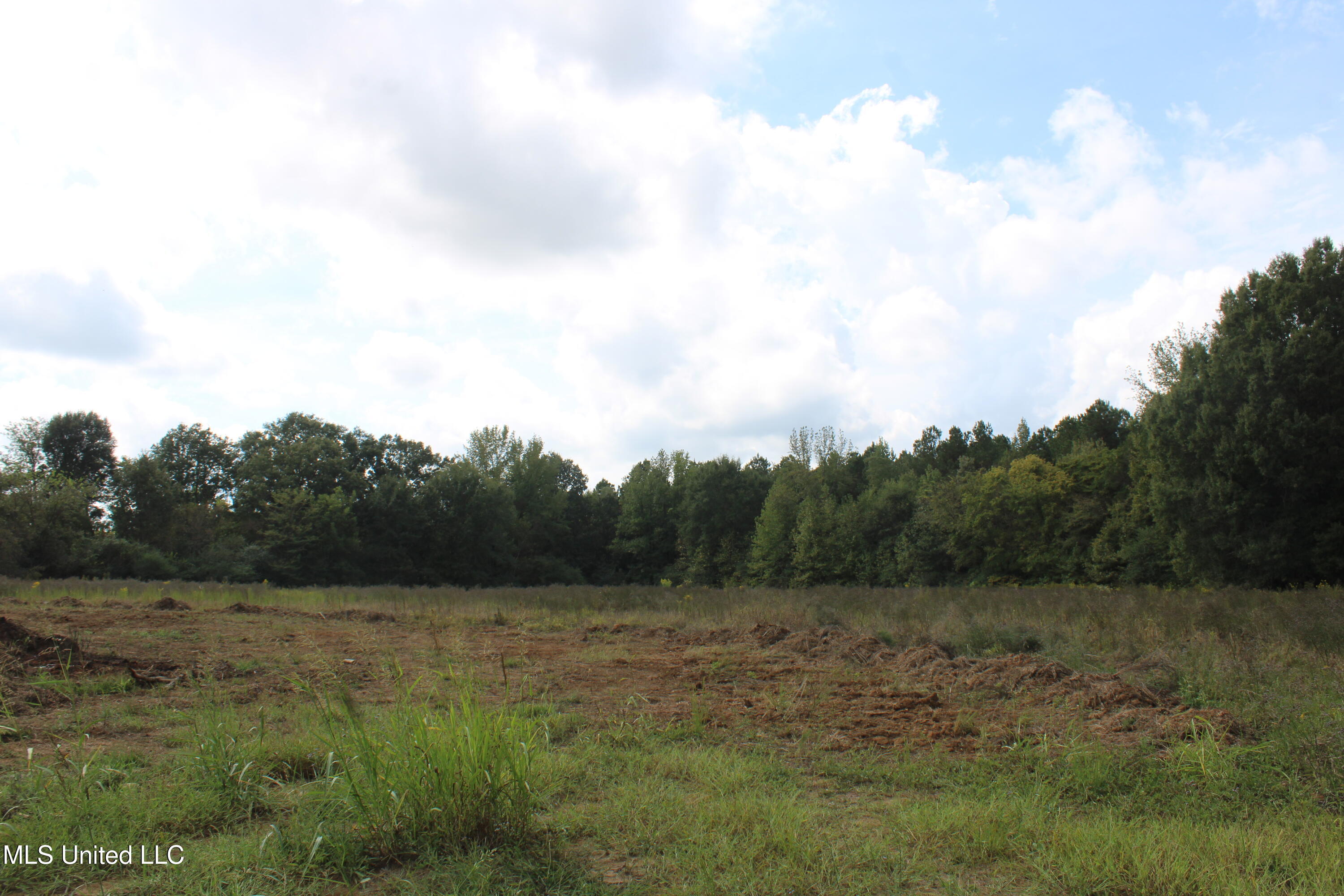 21 Hickory Hollow Road Coldwater, MS 38618 - Photo 18 of 70 IMG_6575