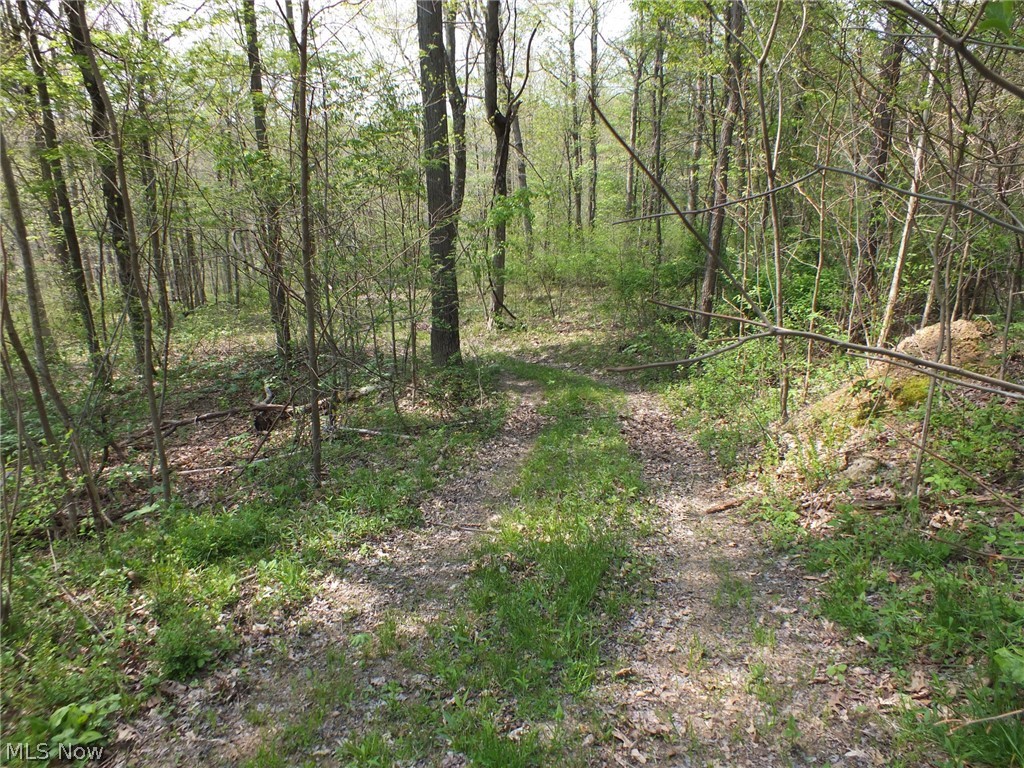 Brocade Road Amsterdam, OH 43903 - Photo 16 of 26 Gallery Image 16