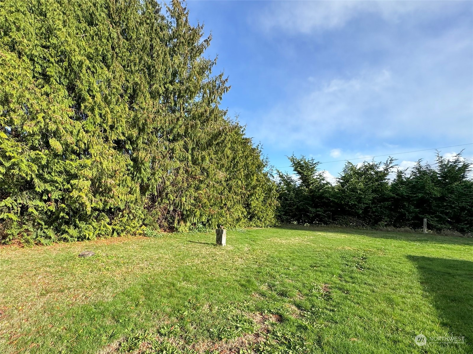 183 Spath Road Sequim, WA 98382 - Photo 35 of 40 a view of outdoor space with a garden and trees