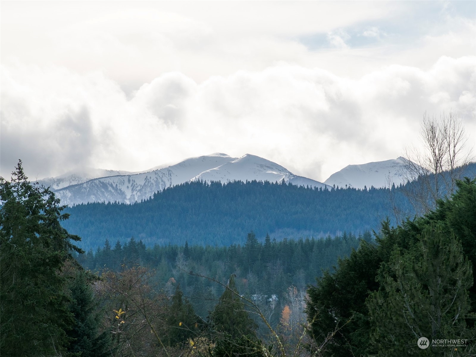 183 Spath Road Sequim, WA 98382 - Photo 39 of 40 an aerial view of houses covered in trees