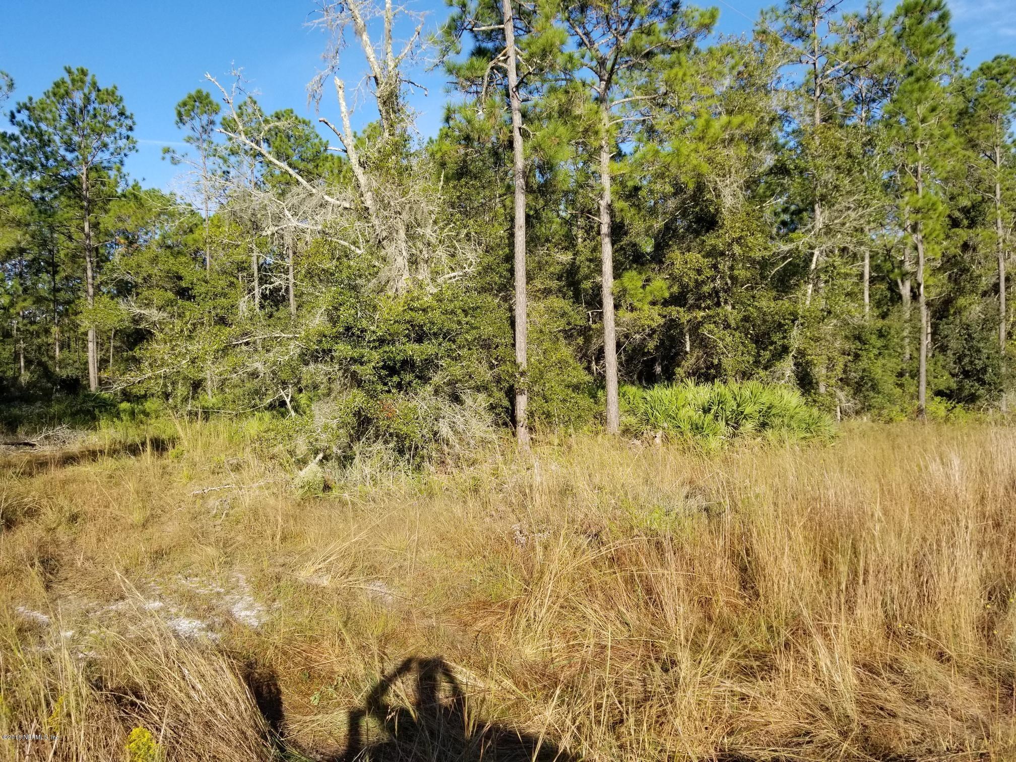 0 Belmore Road Keystone Heights, FL 32656 - Photo 3 of 5 a view of a garden