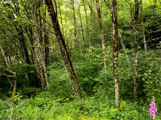 $574,900 | 118 Bald Eagle Road, Ariel, WA 98603