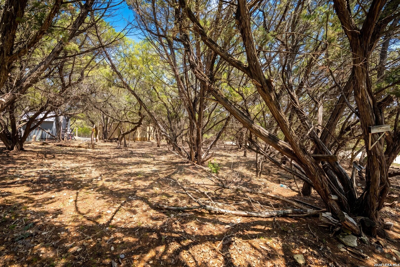 0 Atascosa Road Bandera, TX 78003 - Photo 16 of 19