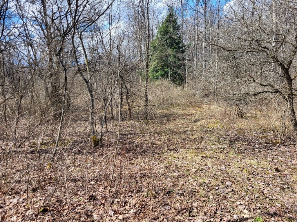 Lot 14.1 Joe Road North Pitcher, NY 13124 - Photo 8 of 8