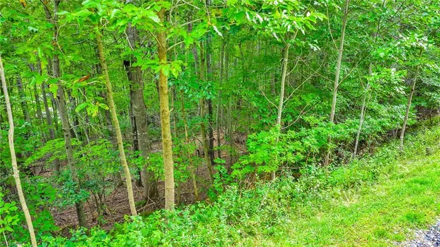 $39,900 | 2 Christmas Mountain Lane, Fleetwood, NC 28626