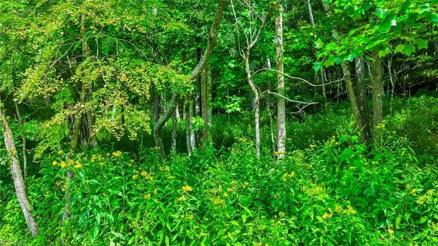 $39,900 | 2 Christmas Mountain Lane, Fleetwood, NC 28626