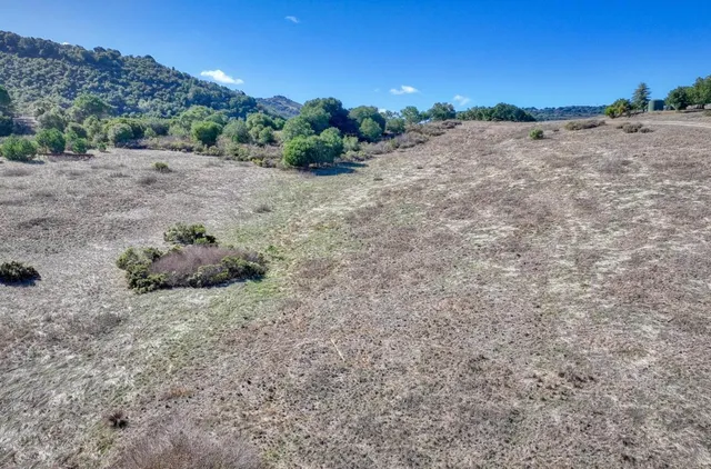 a view of a dry yard with trees in the background