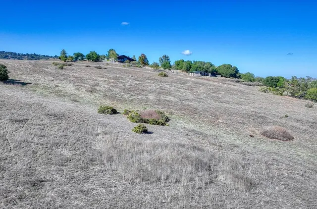 a view of a dry yard with wooden fence