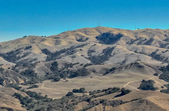 a view of a backyard of a house