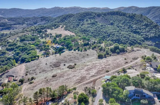 a view of a forest with a mountain in the background
