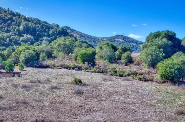a view of a dry yard with trees