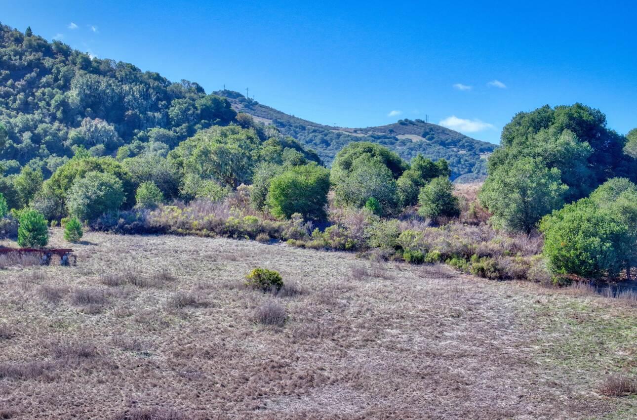 297 Corral De Tierra Road Salinas, CA 93908 - Photo 18 of 28 a view of a dry yard with trees
