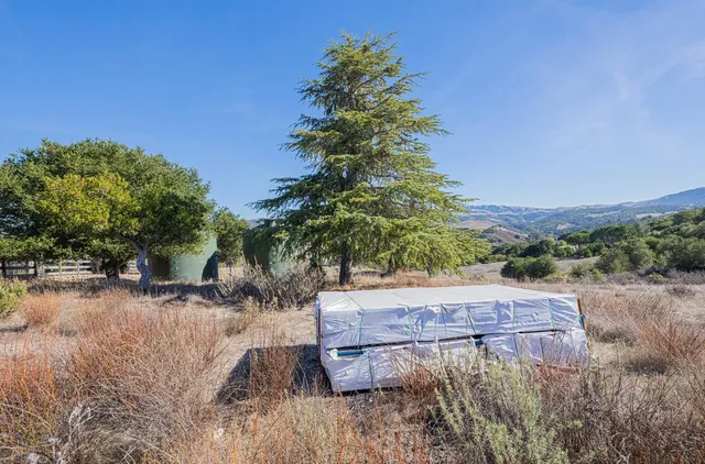 a view of a backyard with a tub