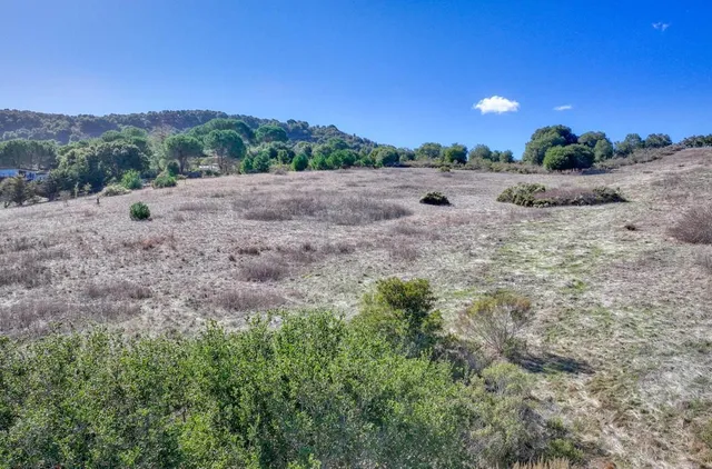 a view of a road with a yard