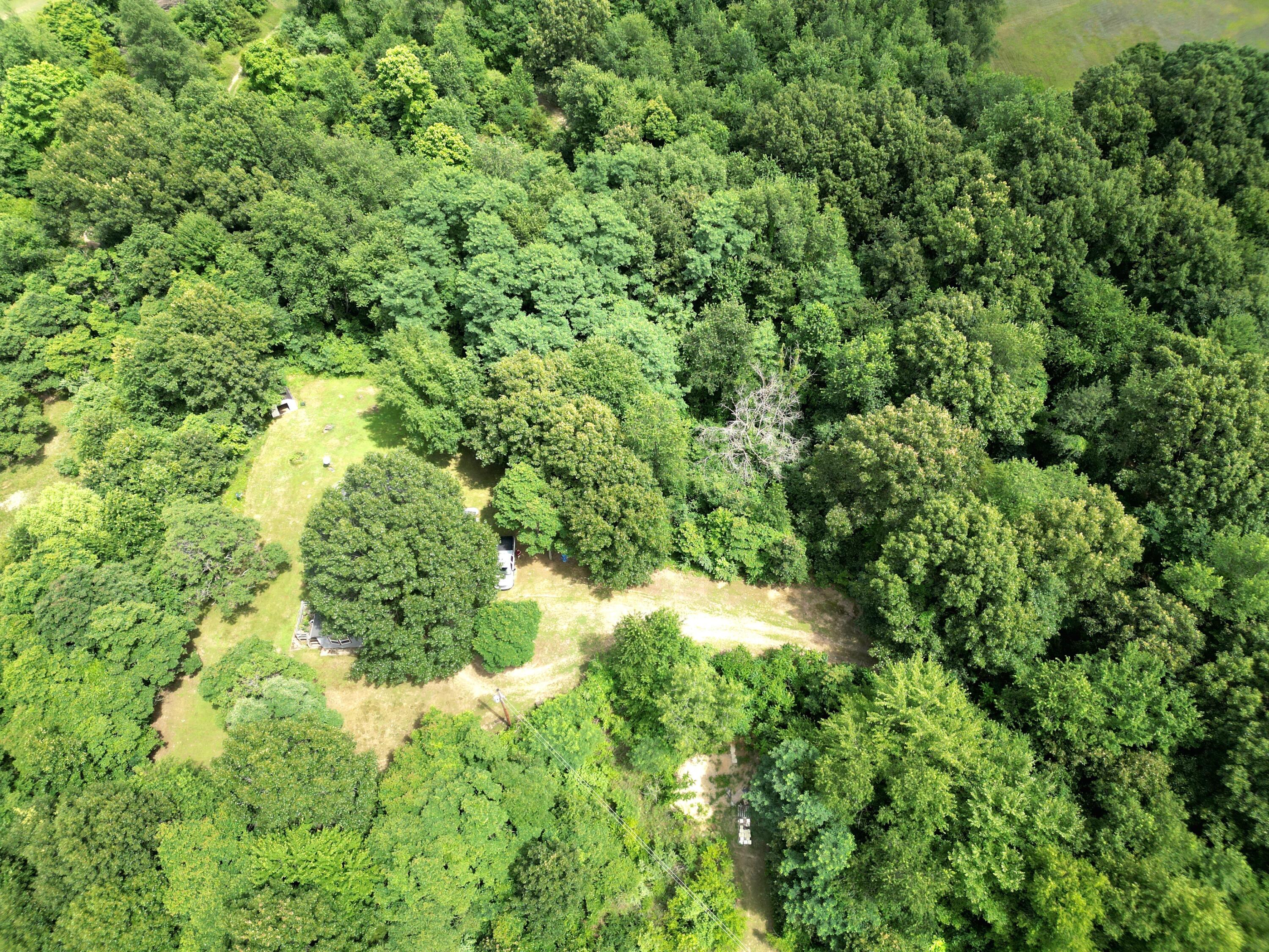 64229 Fair Road Sturgis, MI 49091 - Photo 12 of 26 dji_fly_20250719_162038_492_175295896061