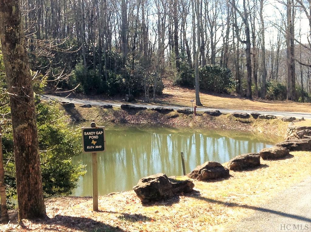 Lot 8 Whitewater Rdg Road Maggie Valley, NC 28751 - Photo 4 of 12 Gallery Image 4