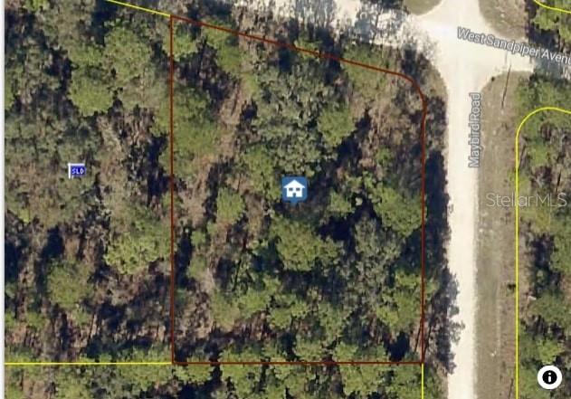 Malden Road Brooksville, FL 34614 - Photo 1 of 1