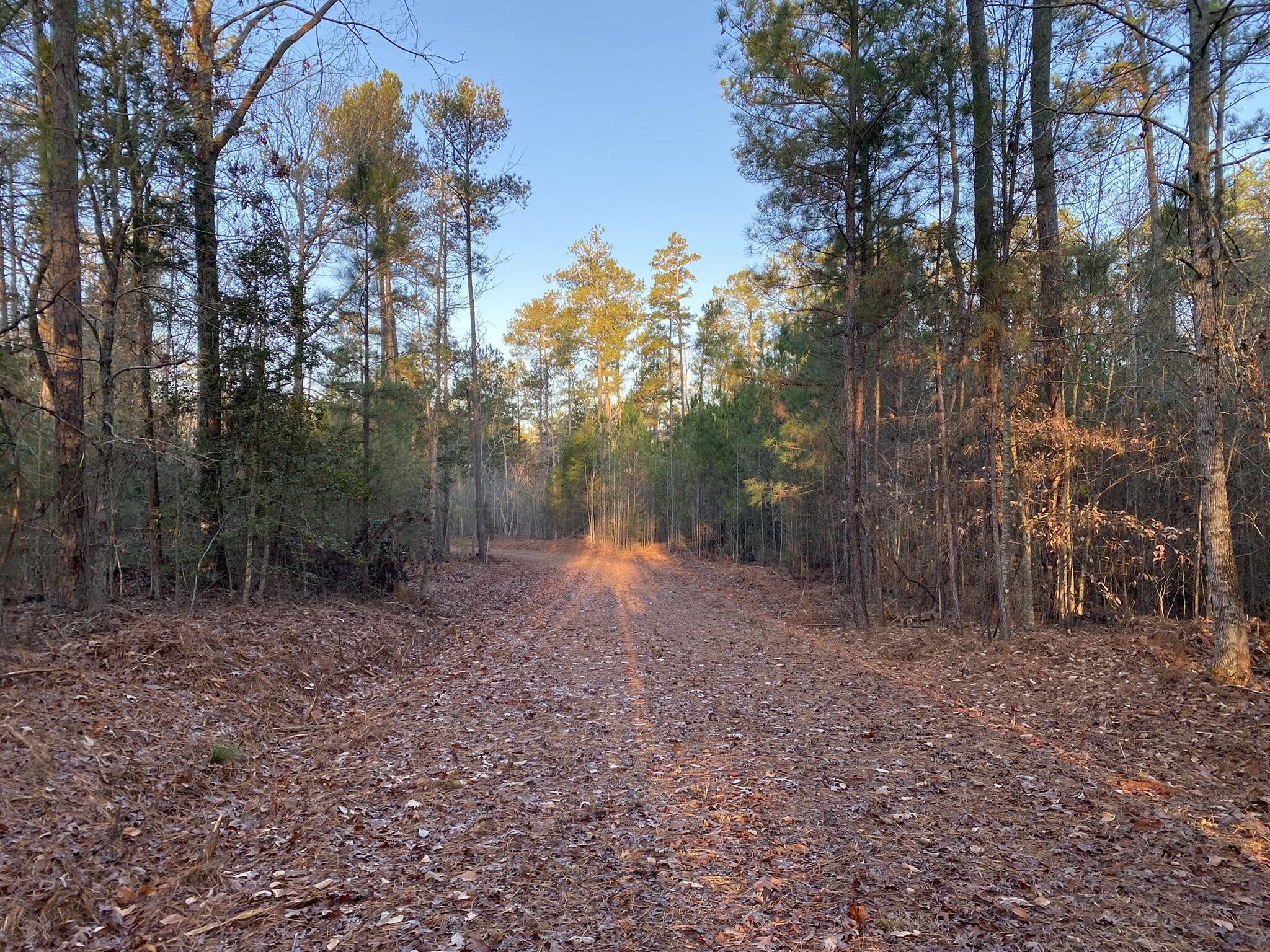 Batesburg-leesville Sc 29006 Road Leesville, SC 29070 - Photo 10 of 22