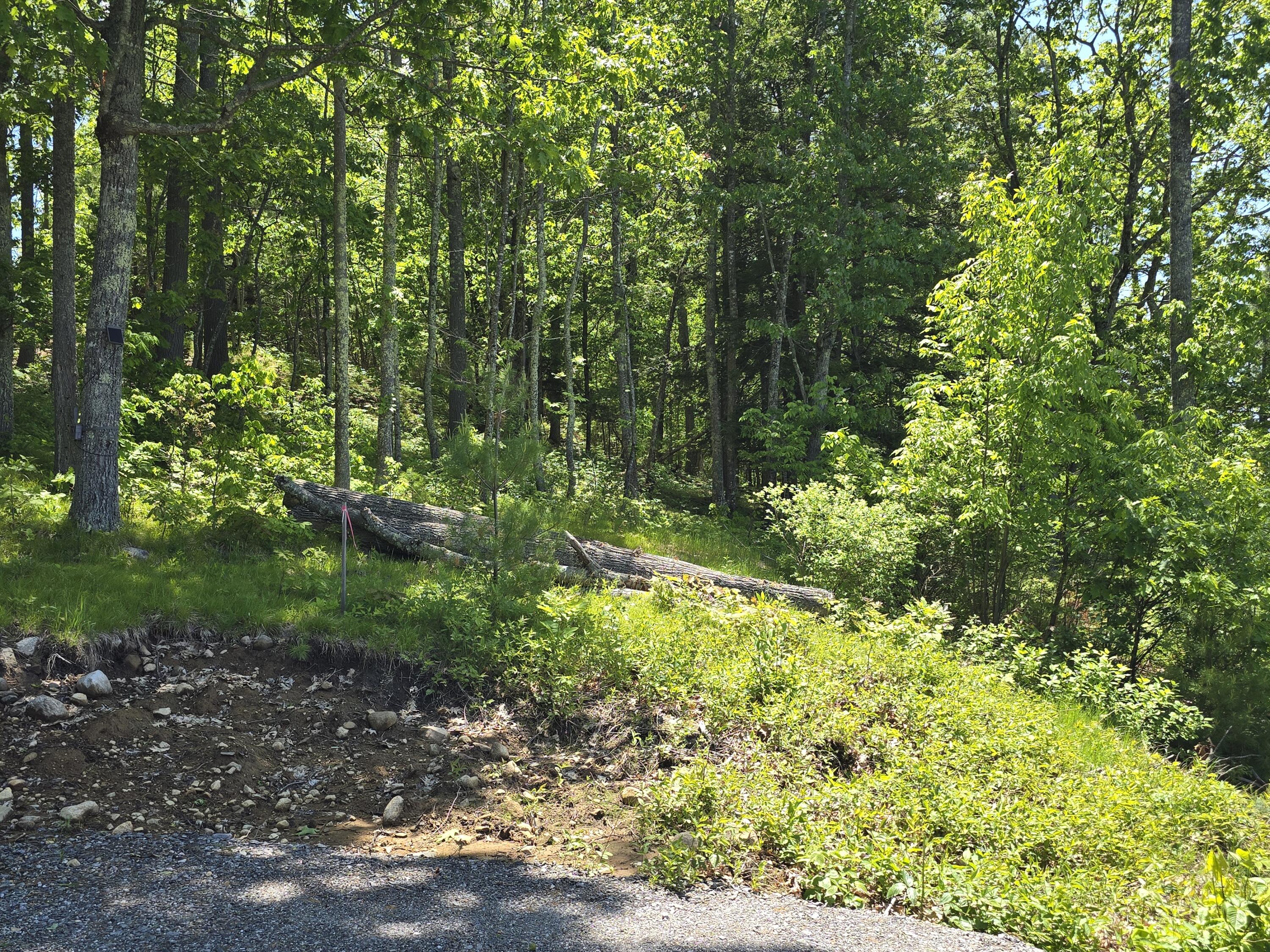 Lot 55 Quaker Ridge Road Casco, ME 04015 - Photo 10 of 13 1000014384