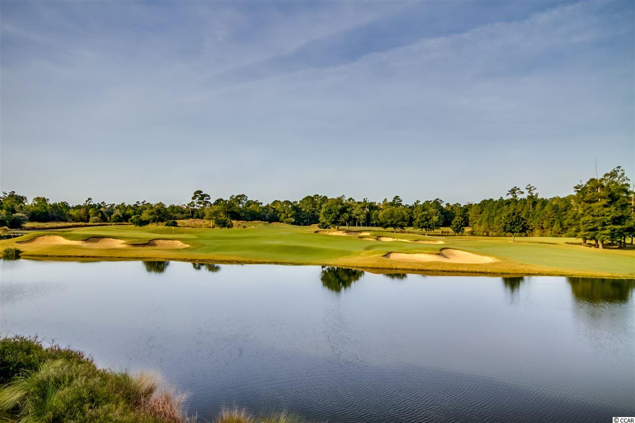 5650 Barefoot Resort Bridge Road, Unit 224 North Myrtle Beach, SC 29582 - Photo 29 of 33