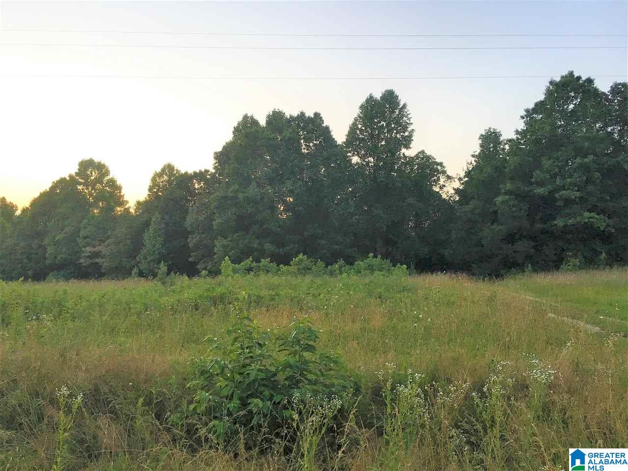 9255 County Road 65 Fruithurst, AL 36262 - Photo 41 of 44