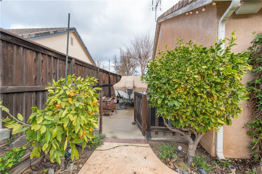 2660 Vineyard Circle Paso Robles, CA 93446 - Photo 22 of 39 a backyard with potted plants and a wooden fence