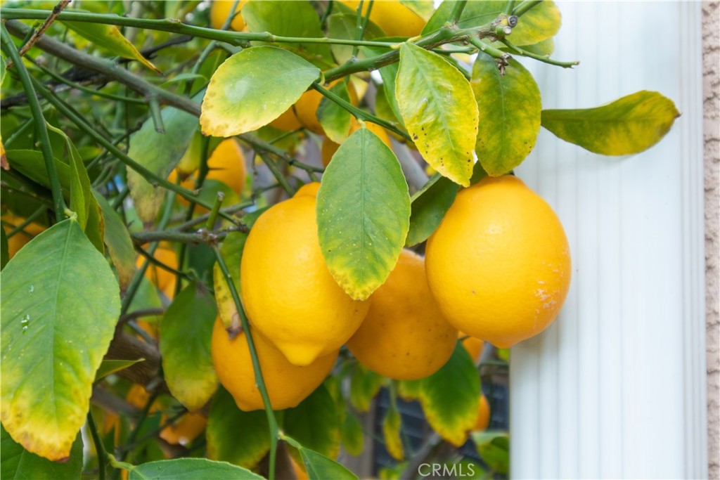 2660 Vineyard Circle Paso Robles, CA 93446 - Photo 23 of 39