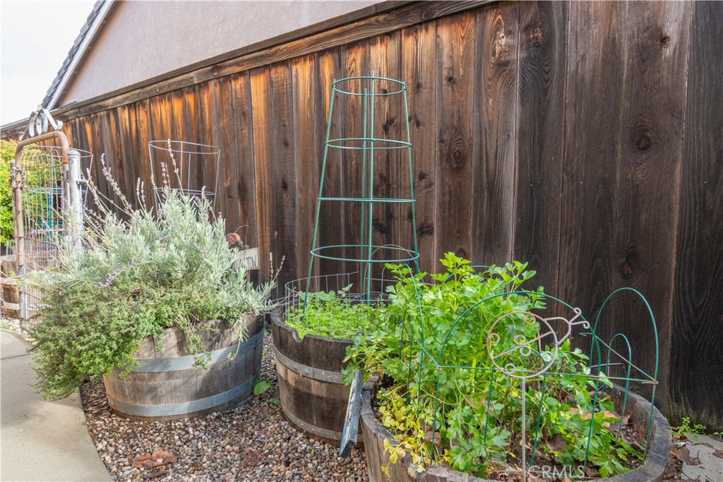 2660 Vineyard Circle Paso Robles, CA 93446 - Photo 29 of 39 a view of a potted plant in front of a door