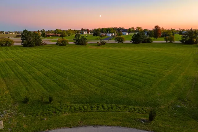 a view of a grassy field with an trees