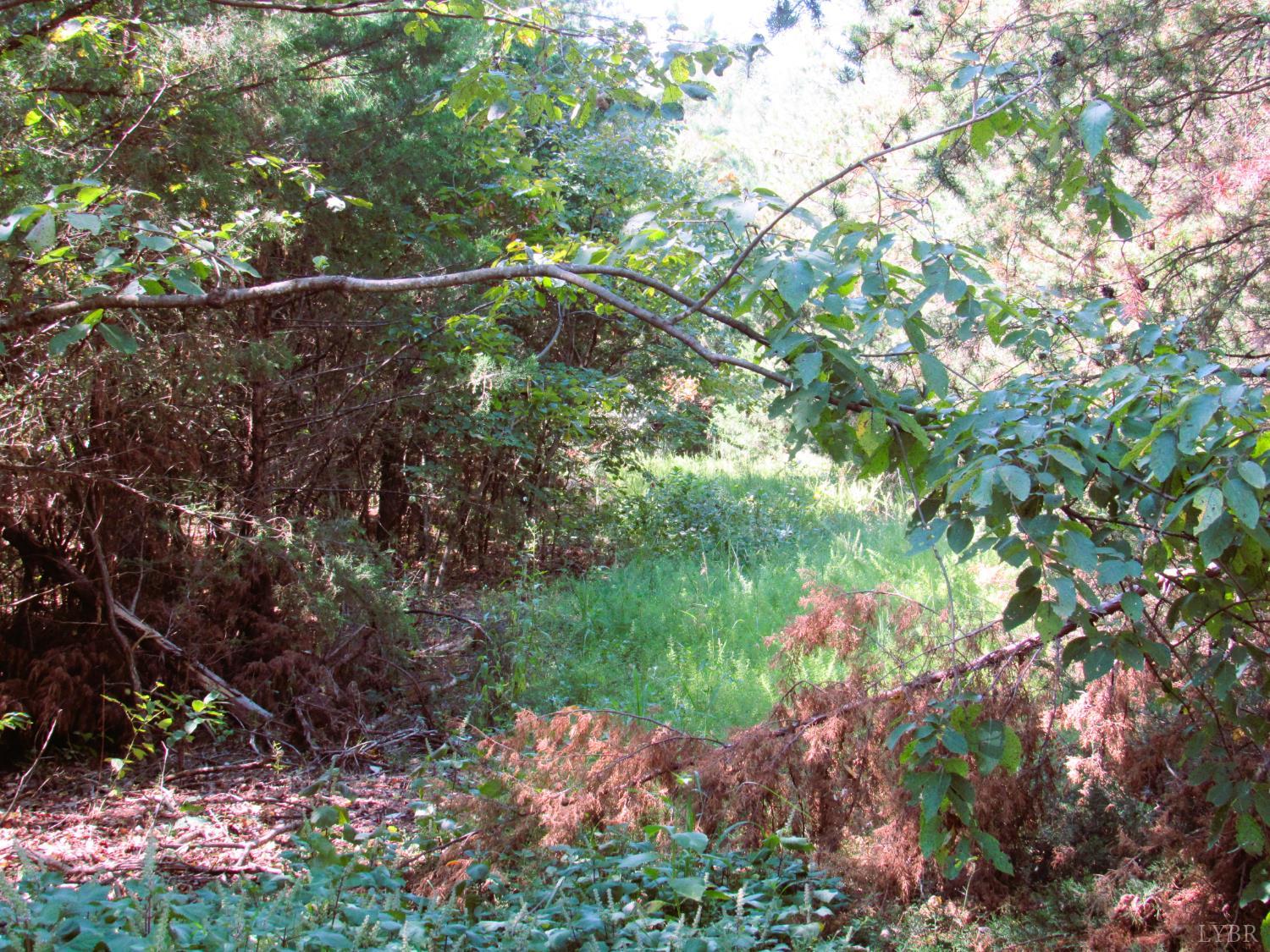 4 Buffalo Bnd Drive Amherst, VA 24521 - Photo 2 of 5 a backyard of a house with lots of green space and garden
