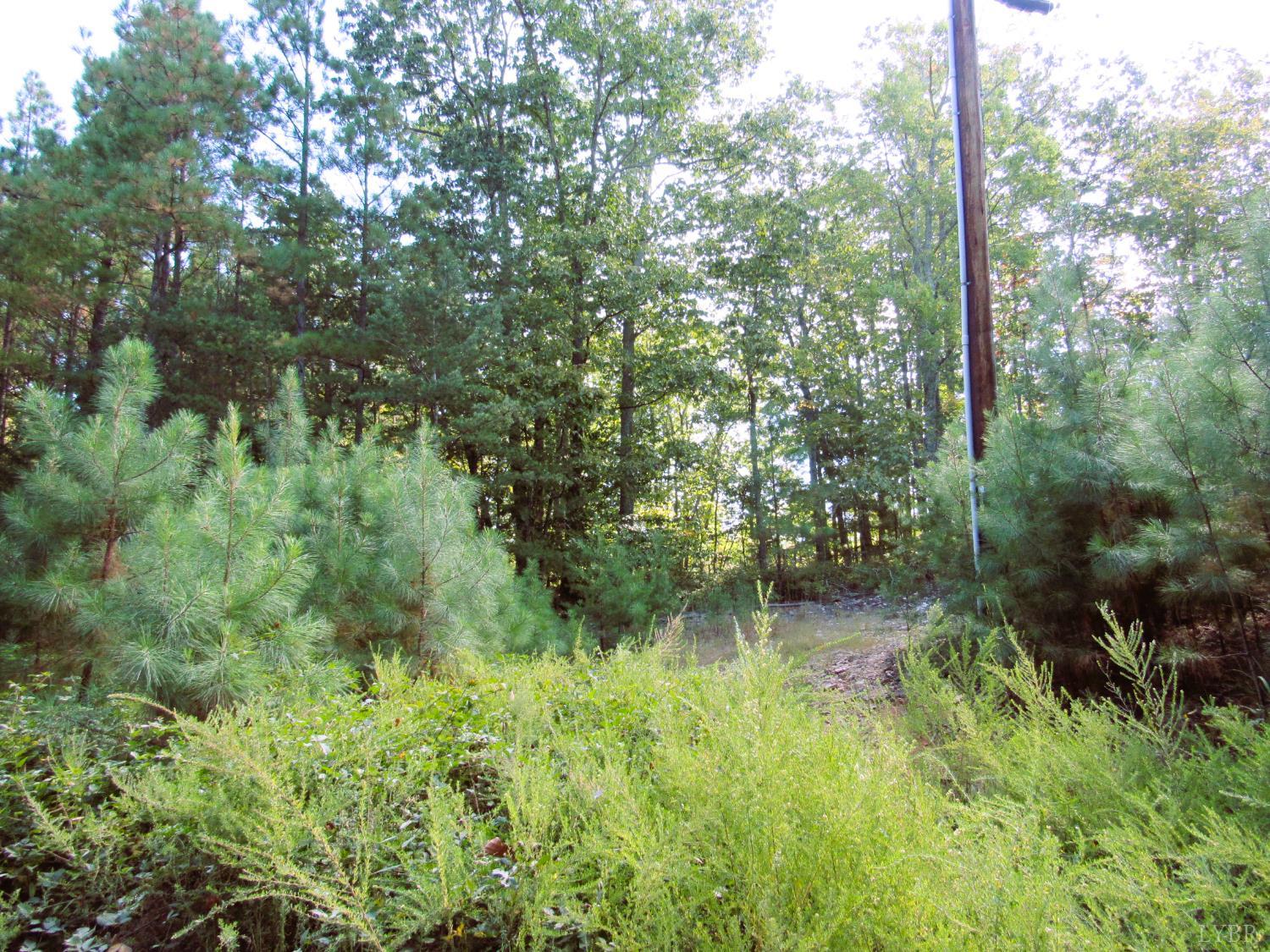 4 Buffalo Bnd Drive Amherst, VA 24521 - Photo 3 of 5 a backyard of a house with lots of green space and trees in the back