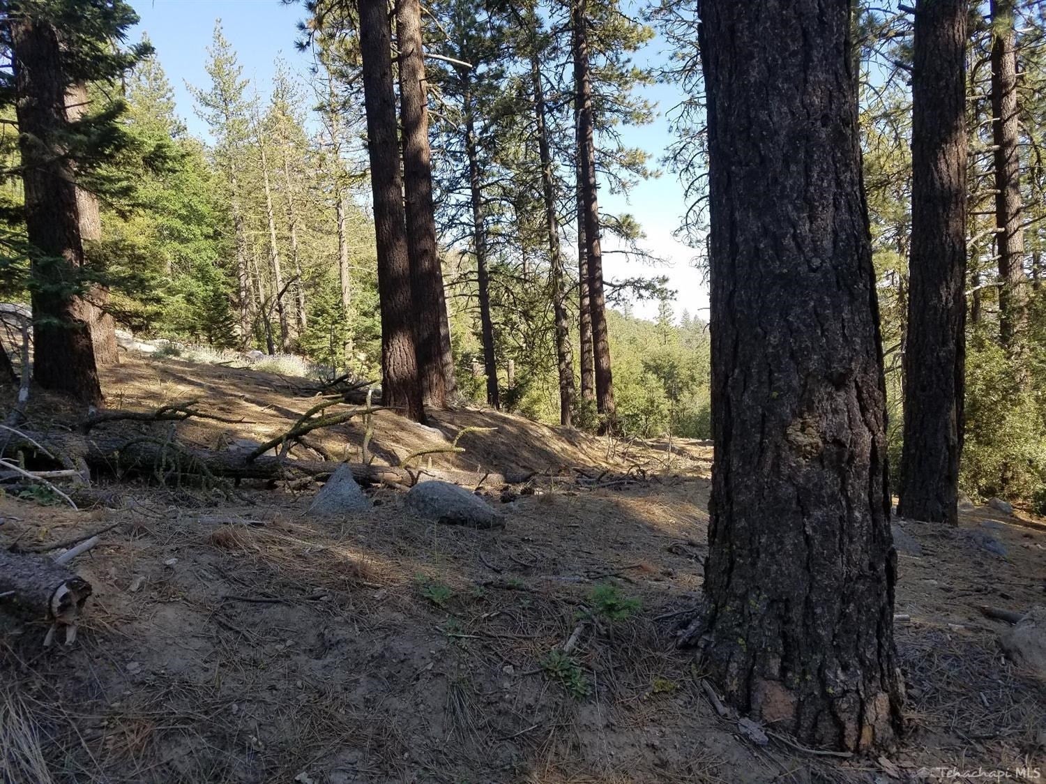 0 Piute Pines Caliente, CA 93518 - Photo 19 of 20 Gallery Image 19