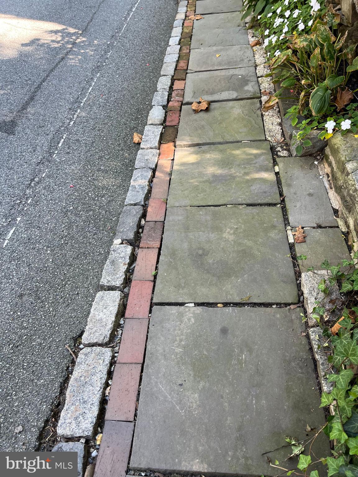 71 West Rose Valley Road Wallingford, PA 19086 - Photo 34 of 36 Neighbors walk that will be continued to 71.