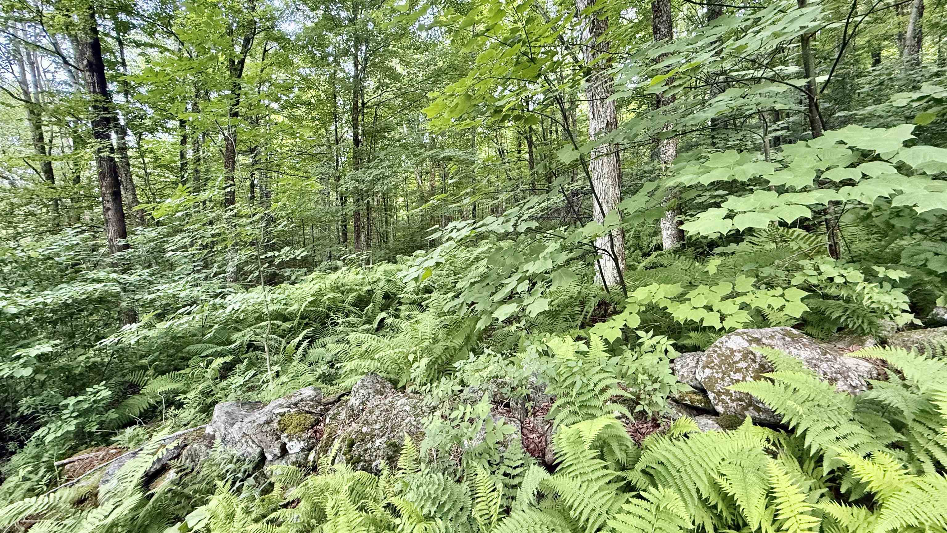2075 Codding Hollow Road Johnson, VT 05656 - Photo 11 of 59