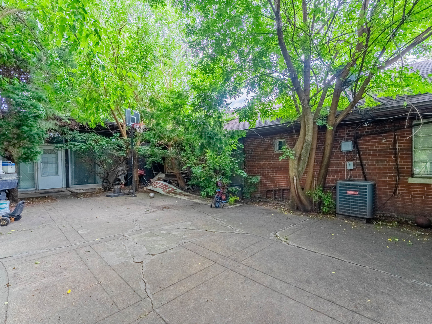 3847 Euclid Avenue Berwyn, IL 60402 - Photo 27 of 32 a view of a house with a backyard and a tree