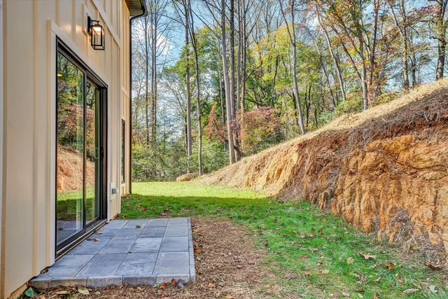 a view of a yard with plants and large trees