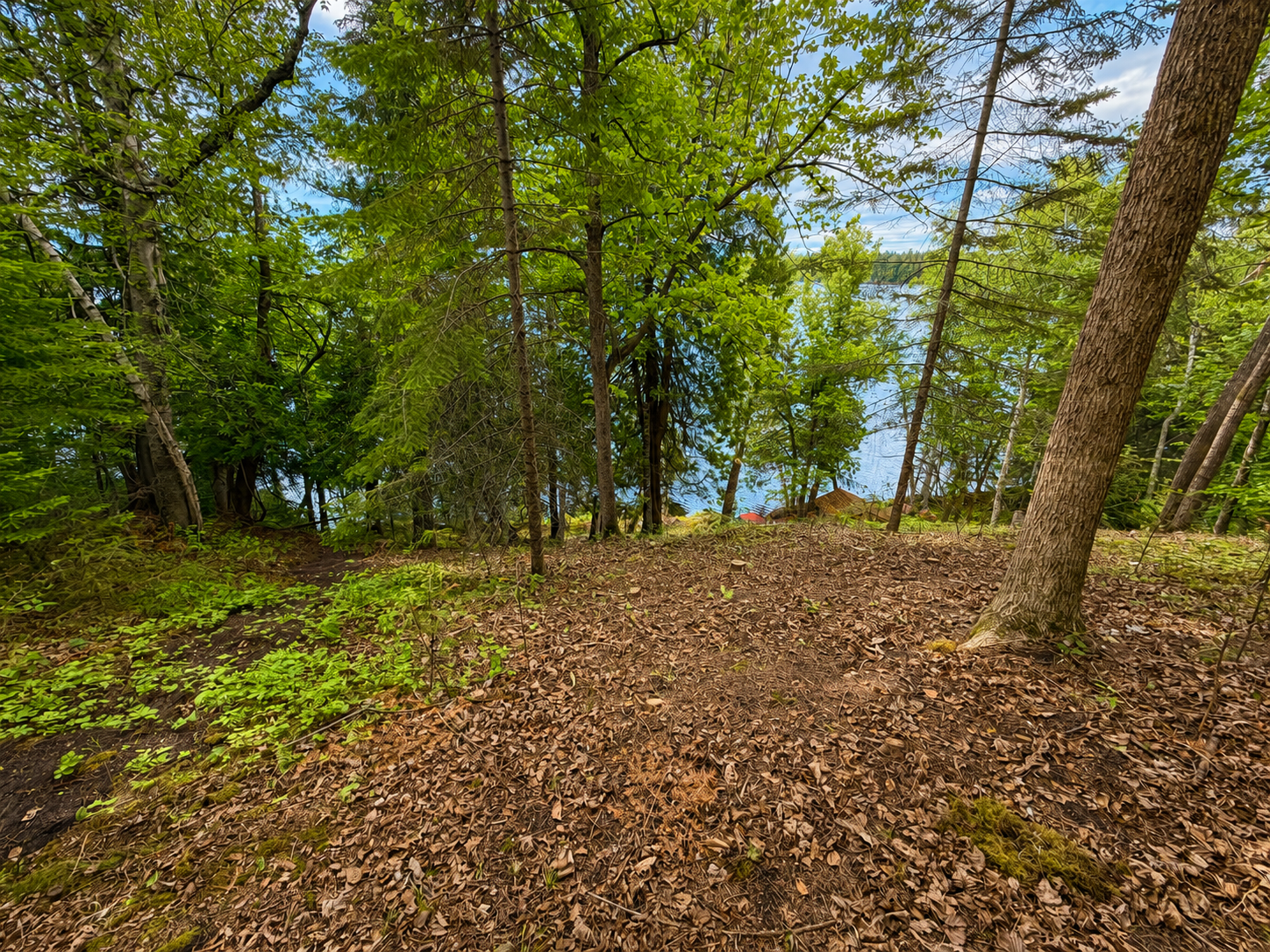 50573 Evergreen Point Road Bigfork, MN 56628 - Photo 37 of 47