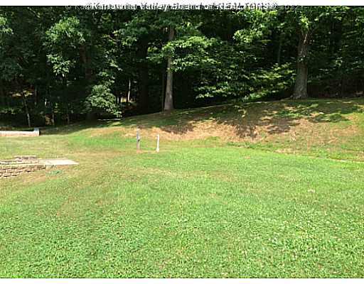 3740 Mt Union Road Huntington, WV 25701 - Photo 12 of 12 Yard/Garden.