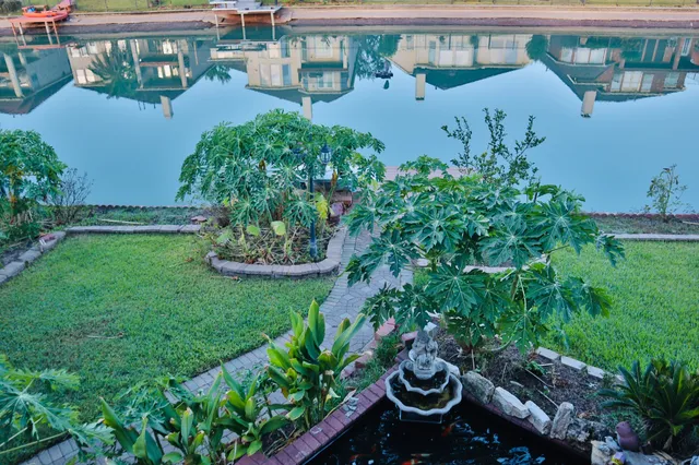 a view of a backyard with plants and a fountain