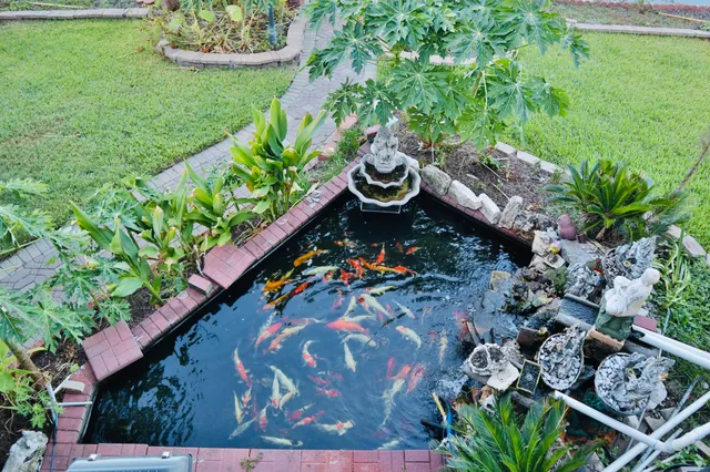 a view of a chairs in a yard