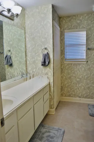 a bathroom with a sink and a shower