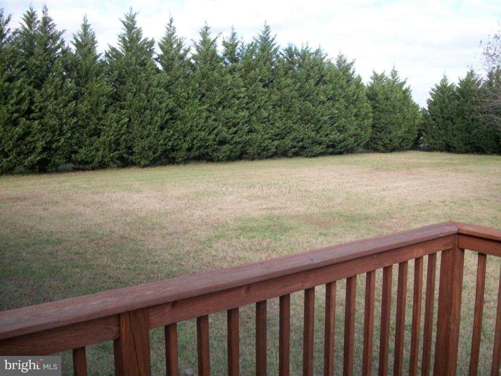 8105 White Lowe Road Salisbury, MD 21801 - Photo 3 of 9 Gallery Image 3