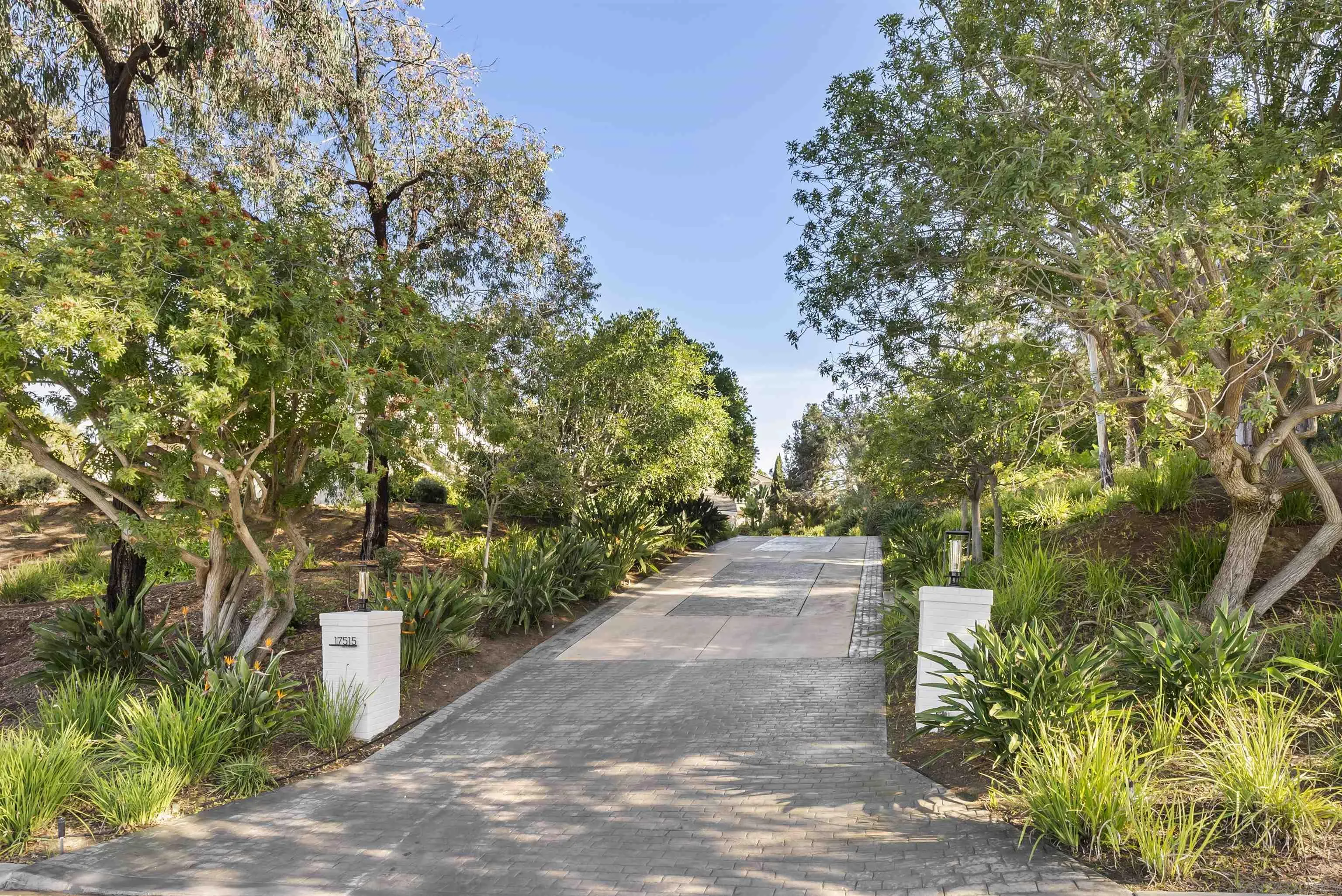 Gorgeous long driveway entrance to elevated homesite