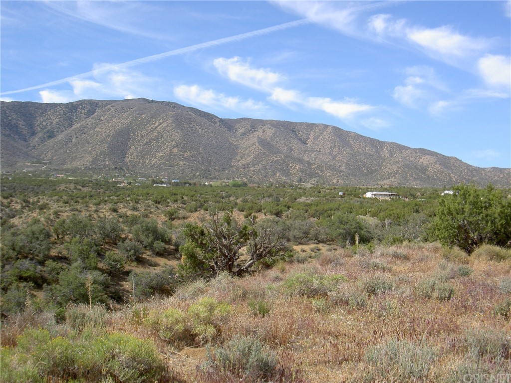 a view of a dry yard with mountains in the background