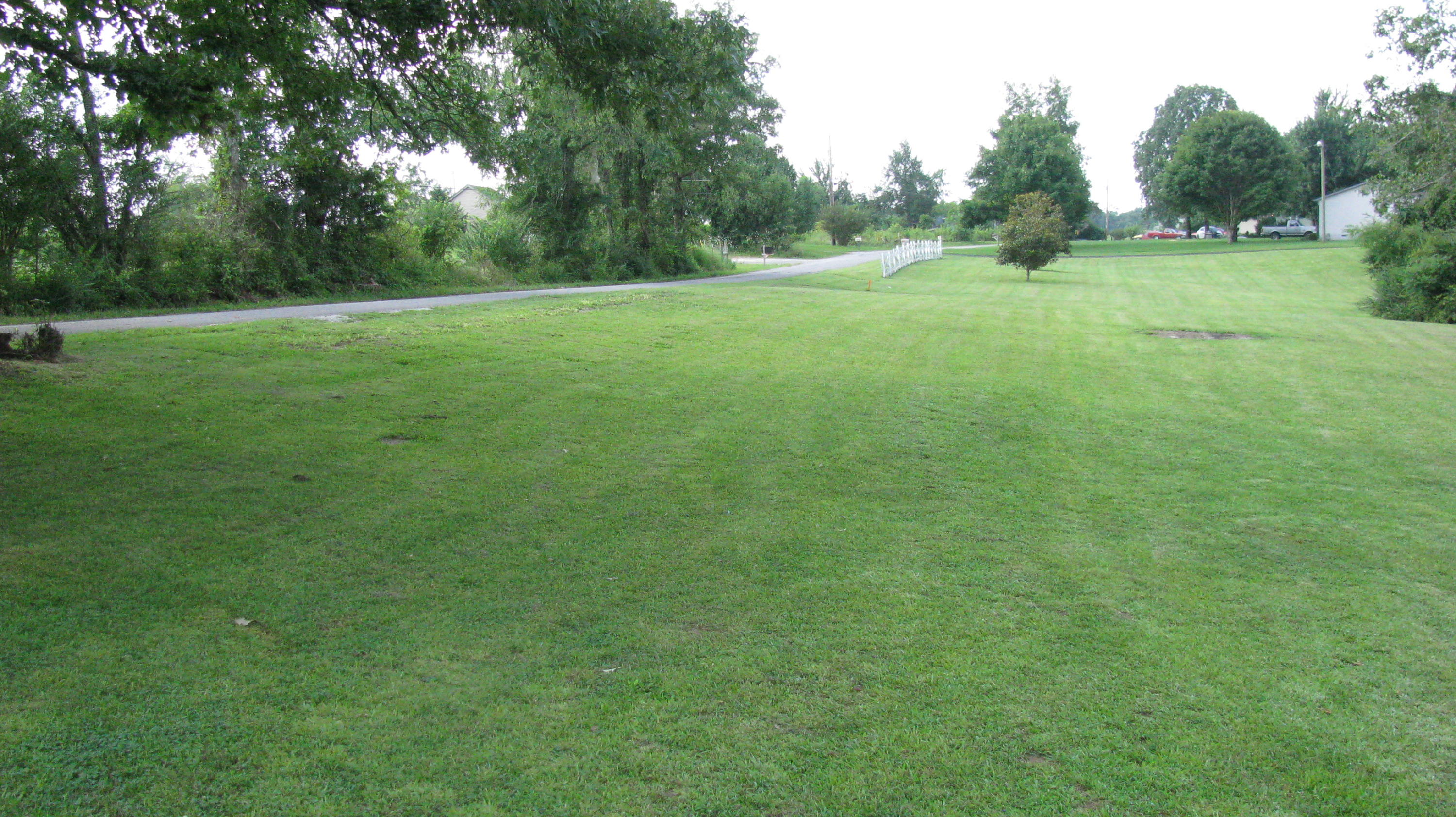 201 George Smith Road Crossville, TN 38571 - Photo 3 of 34 Front Yard parallel to paved road