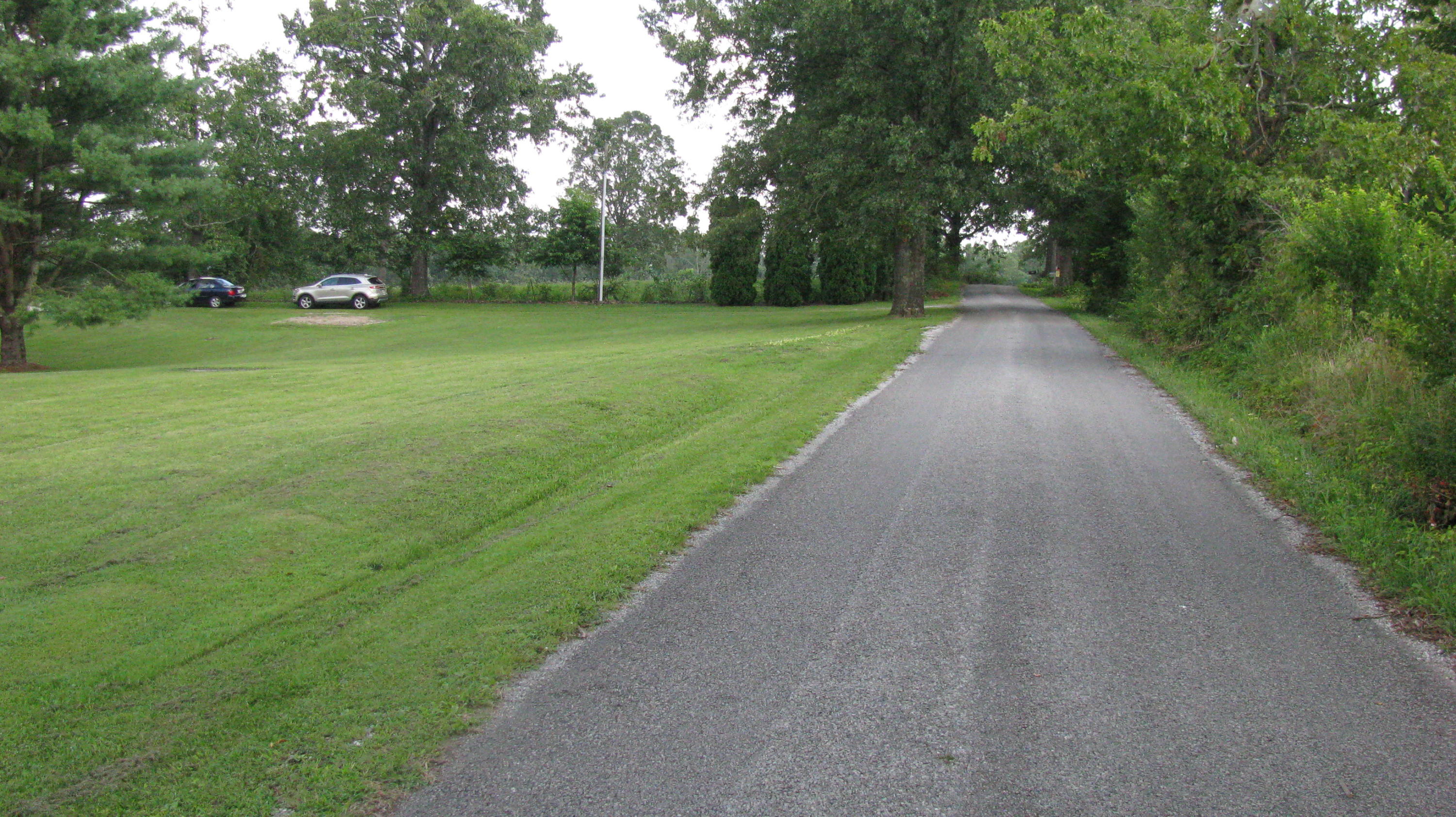 201 George Smith Road Crossville, TN 38571 - Photo 4 of 34 Front Yard Paved Road